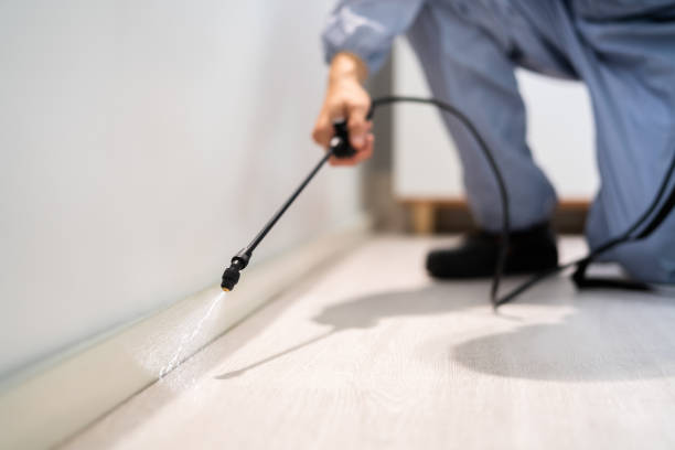 Licensed Pest Control service in Chanute, KS - Show Me Pest Control