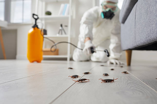 Commercial Rodent Management in Chanute